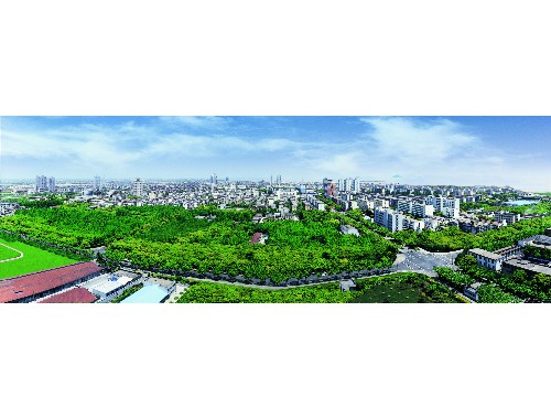 博鱼官方网站：三明绿化苗木市场如何