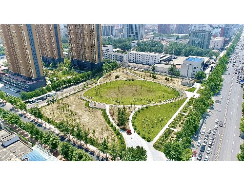 杏花岭区绿化工程质量保证