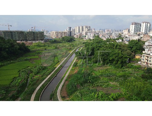 博鱼中国官网：晋州市政绿化工程报价清单表模板