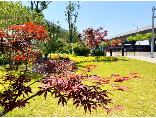 新疆绿化工程工程类别