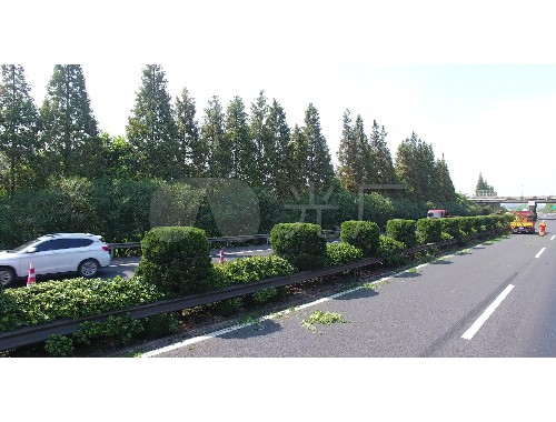 博鱼boyu登录入口：太榆路高架绿化工程