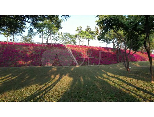博鱼boyu登录入口：峨眉山政园林绿化公司