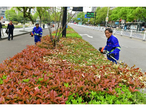 博鱼官方网站：利川城市绿化的项目