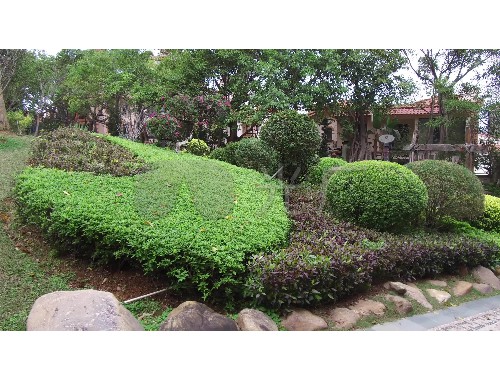 博鱼boyu体育官方平台：小区前面城市绿化用地