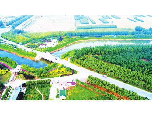 博鱼官方网站：园林绿化工程资料计划