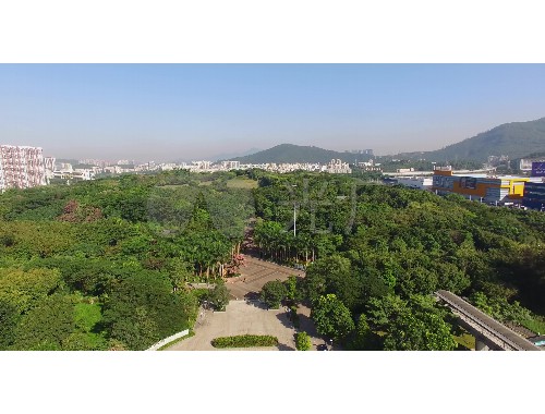 博鱼boyu体育官方平台：怎样审绿化工程资质证明