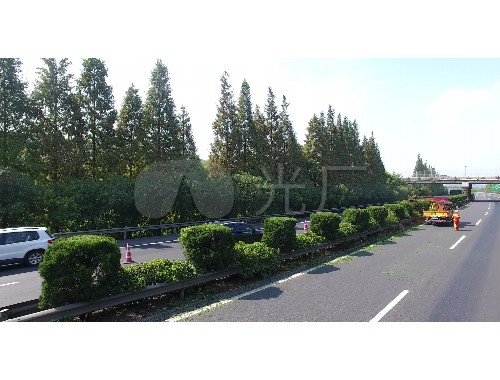 博鱼boyu官方网站：岳阳茂林绿化工程有限公司