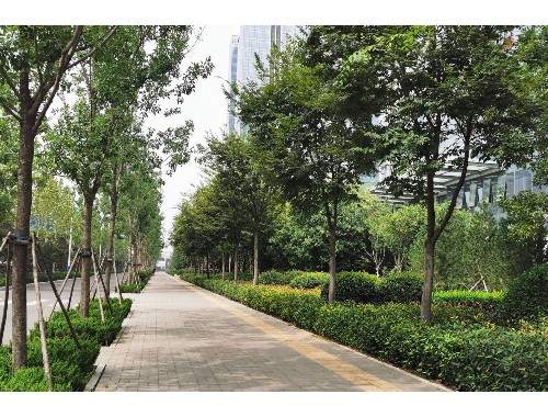 博鱼中国官网：园林绿化工程公司损益表