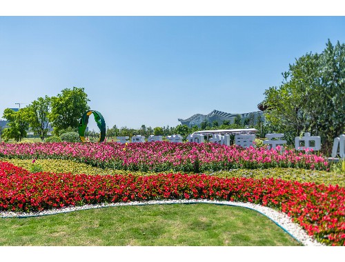 博鱼boyu登录入口：咸阳市城市绿化管理处主任