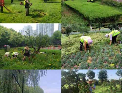 博鱼boyu：园林绿化工程三类工程